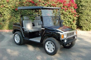affordable golf cart rental, golf cart rent catalina